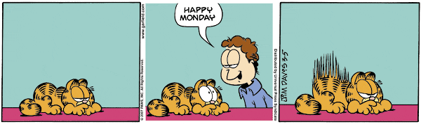 Garfield Cartoon